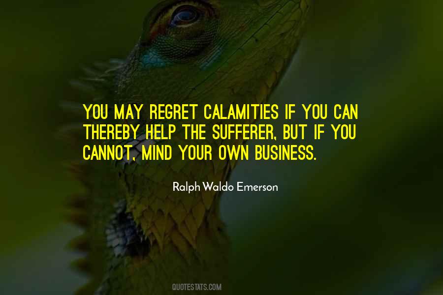 Quotes About Calamities #681402