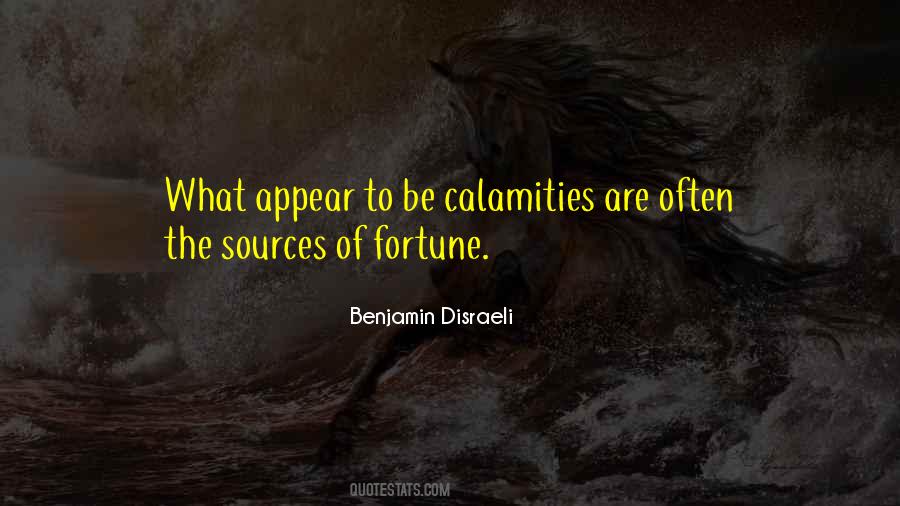 Quotes About Calamities #983078