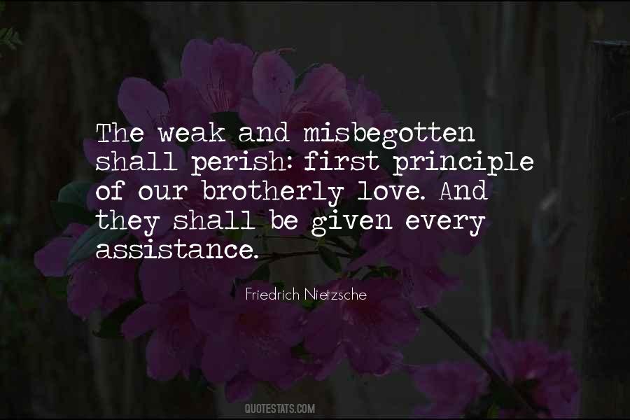 Quotes About Brotherly Love #98839