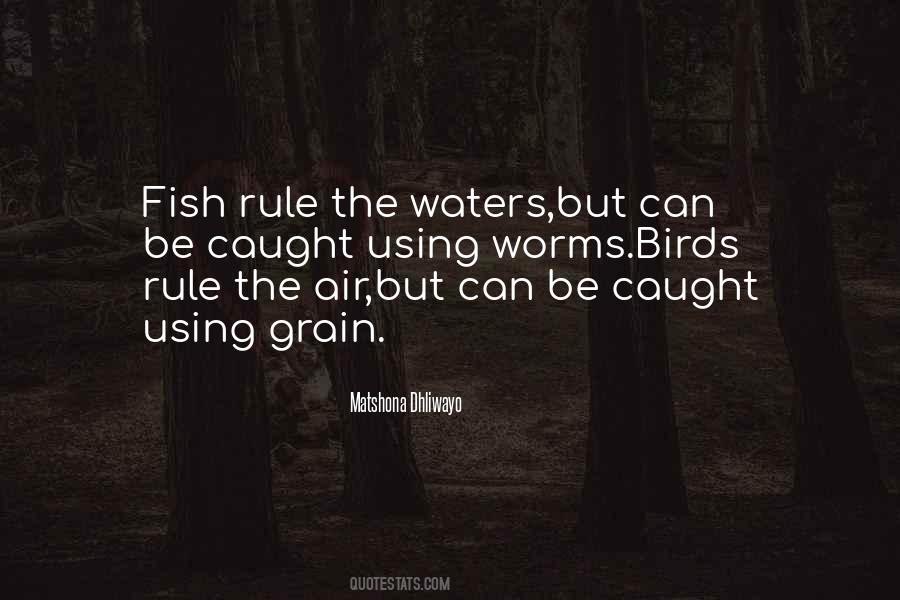 Quotes About Using #36941 Quotes About Using #36941