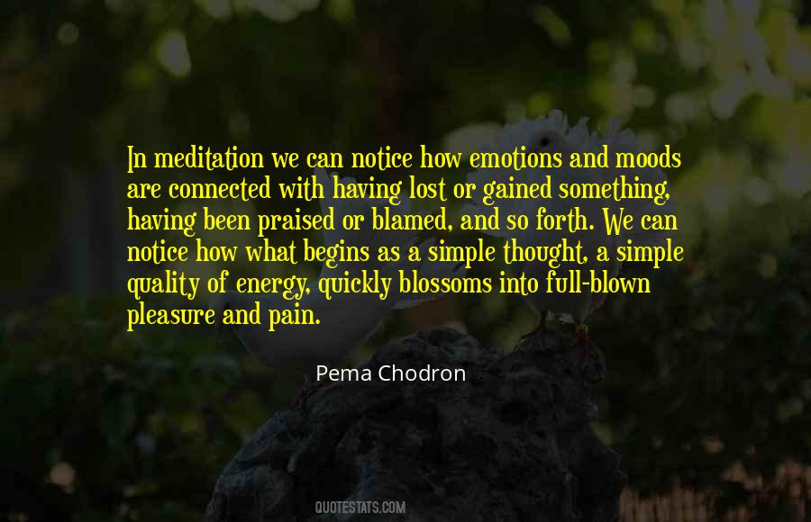 Moods And Emotions Quotes #900710