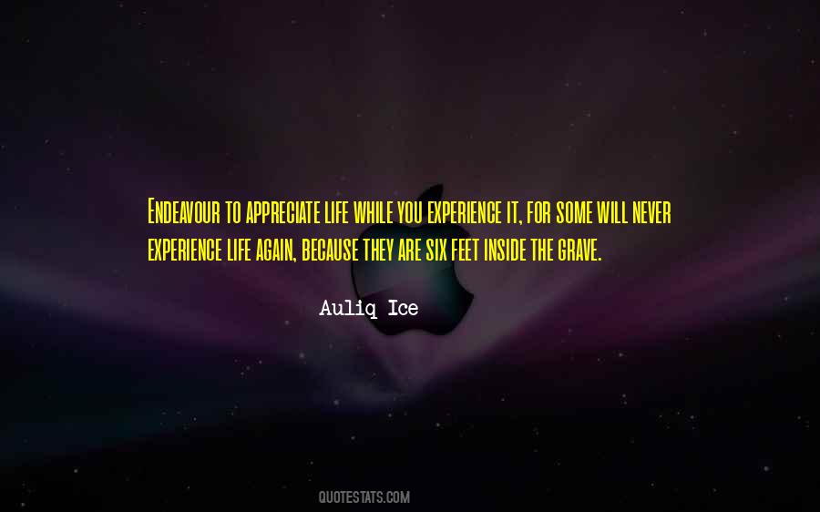Quotes About Appreciating Your Life #221189