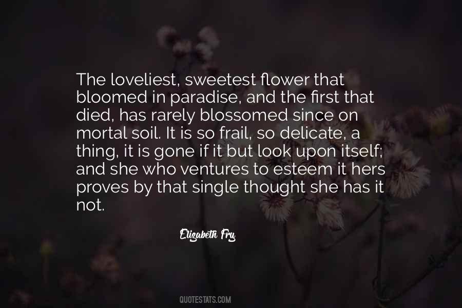 Quotes About The Sweetest Thing #456339