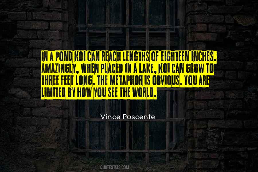 Inches Feet Quotes #544958