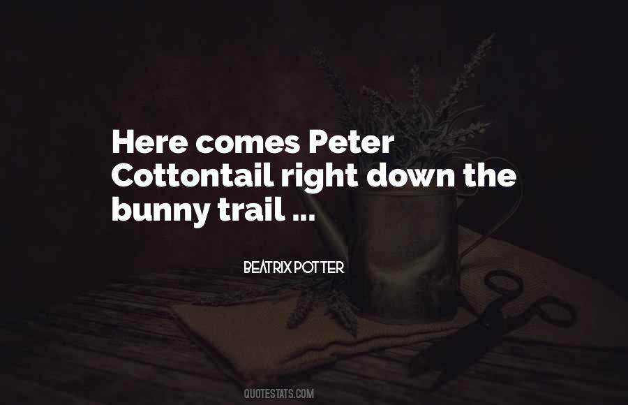 Quotes About Easter Bunny #137906