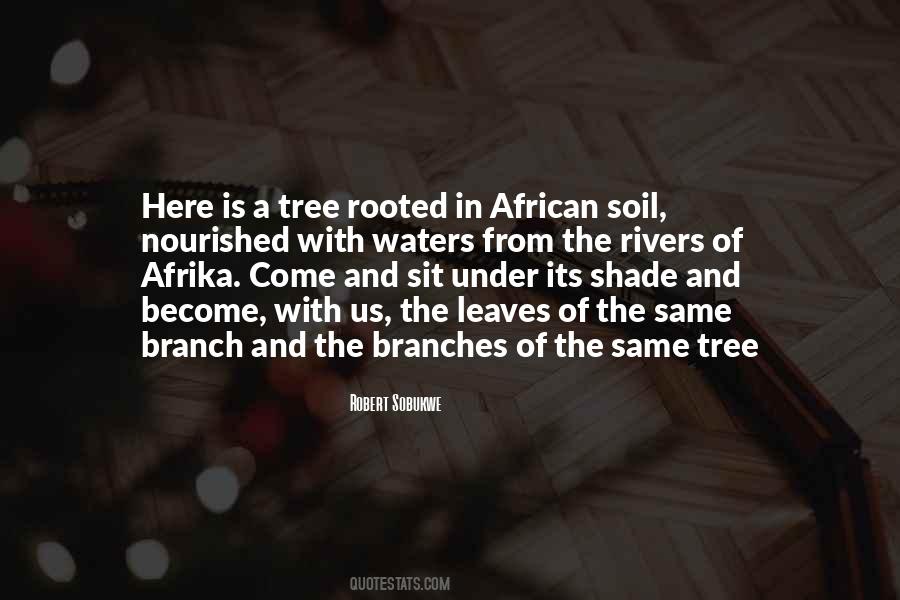 Under A Tree Quotes #677069