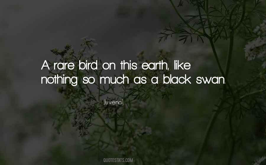Quotes About Black Swans #1440365