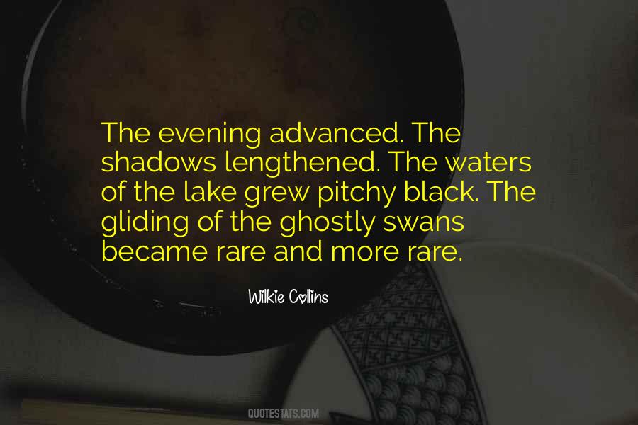 Quotes About Black Swans #405072