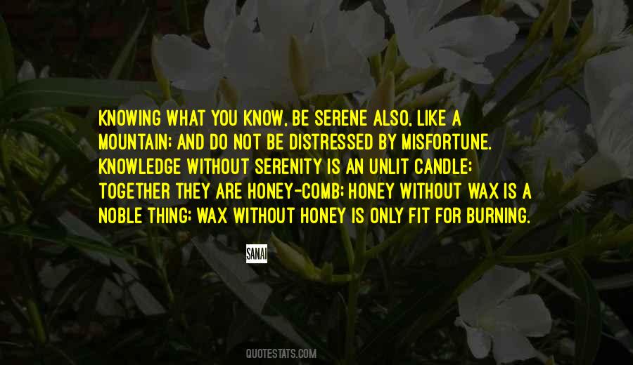 Be Like A Mountain Quotes #299137