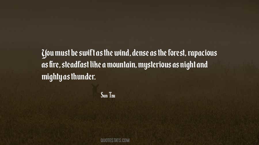 Be Like A Mountain Quotes #37022