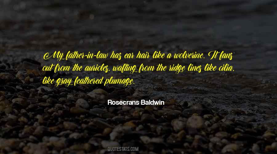 Quotes About My Father In Law #1504685