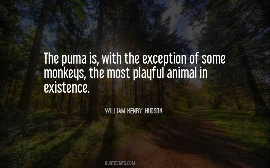 Quotes About Puma #311149