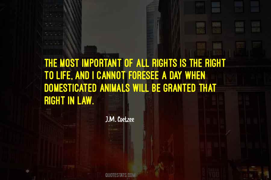 Quotes About The Rights Of Animals #1192375