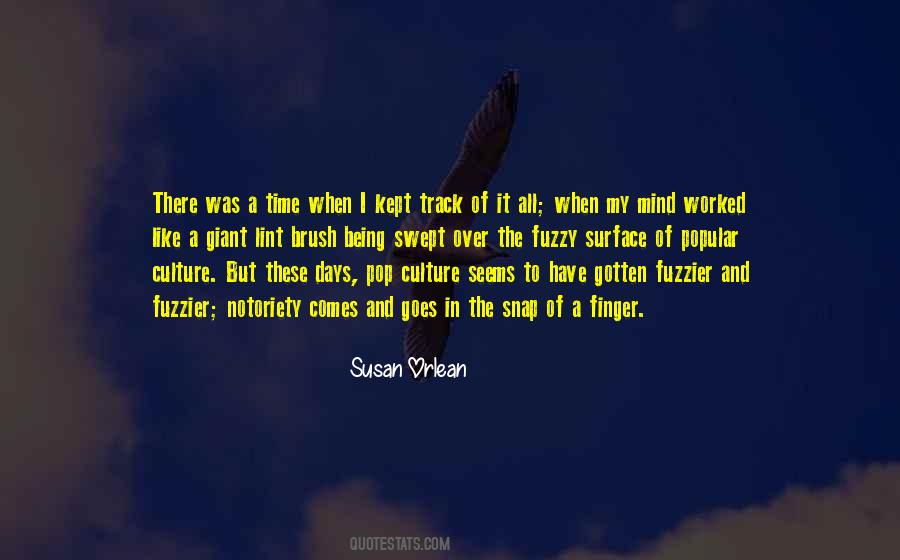 Quotes About Popular Culture #1065746