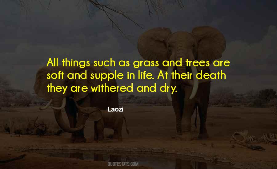 Quotes About Trees And Death #1144495