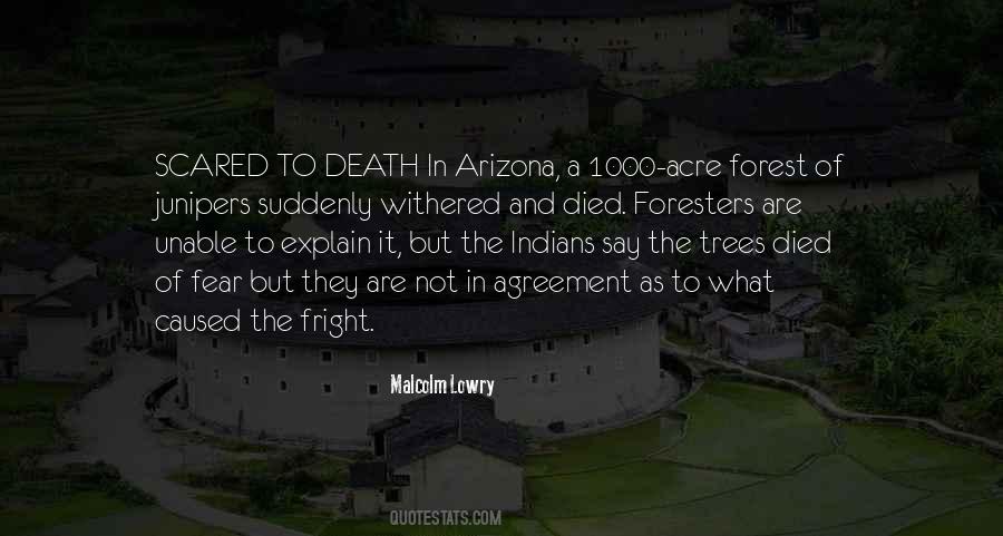 Quotes About Trees And Death #70664