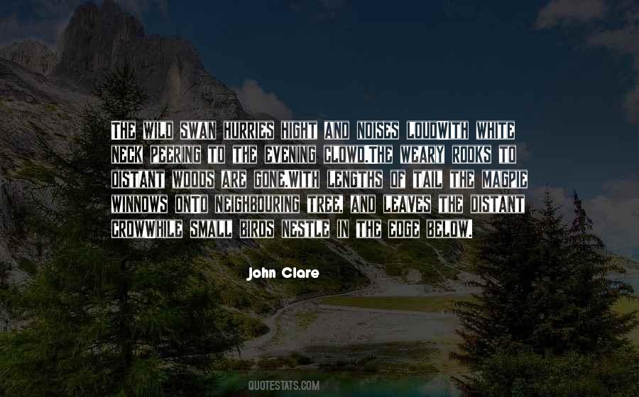 Quotes About Rooks #349473