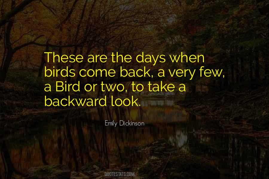 Two Birds Quotes #119859