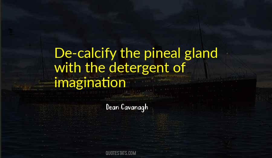 Quotes About Pineal Gland #746139
