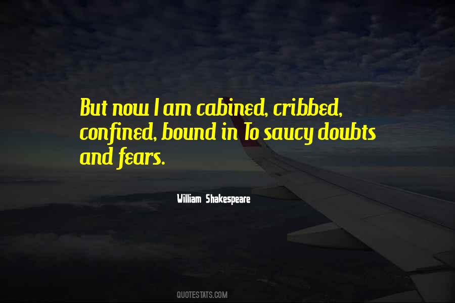 Quotes About Doubts And Fears #483790