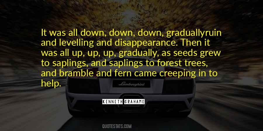 Quotes About Disappearance #680632
