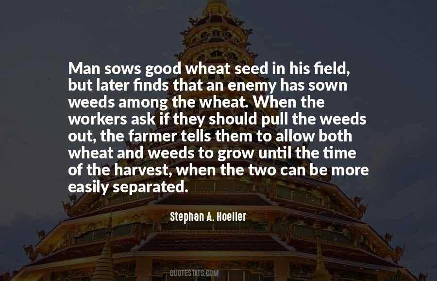 Good Seed Quotes #1234390