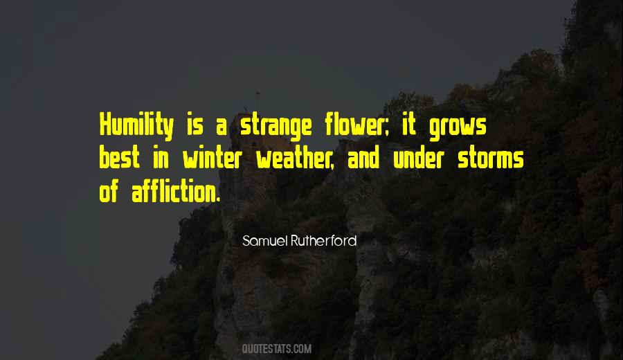 Storms And Weather Quotes #234456