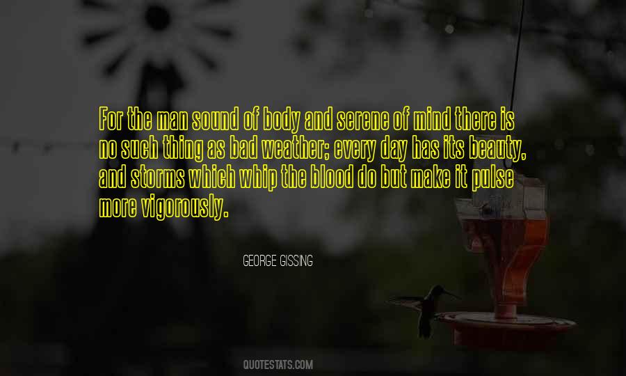Storms And Weather Quotes #491342