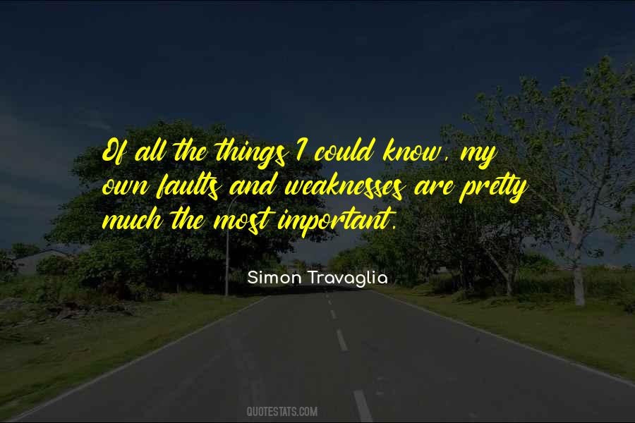Quotes About My Faults #180455