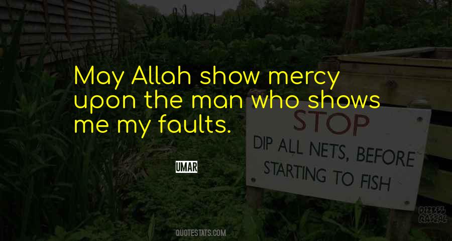 Quotes About My Faults #346367