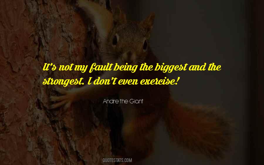 Quotes About My Faults #805181