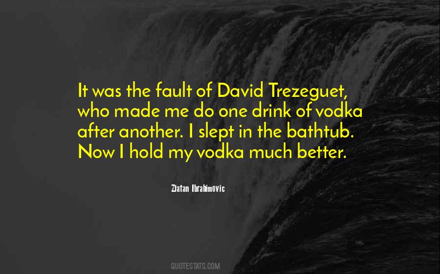 Quotes About My Faults #980873
