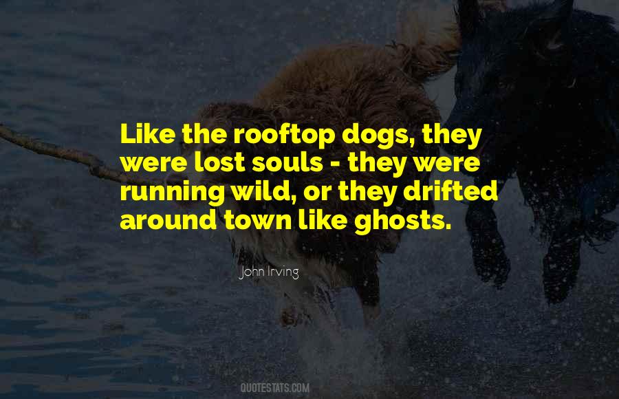 Quotes About Wild Dogs #1860078