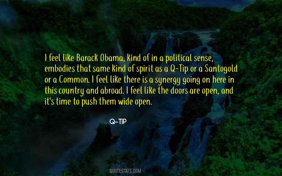 Obama Political Quotes #925132