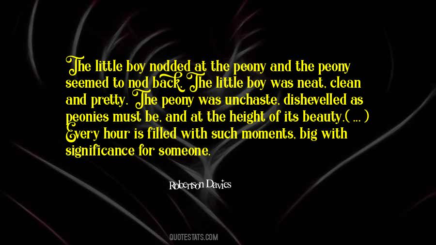 Quotes About Pretty Little Things #1535092