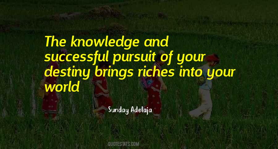 Quotes About Pursuit Of Wealth #1628129
