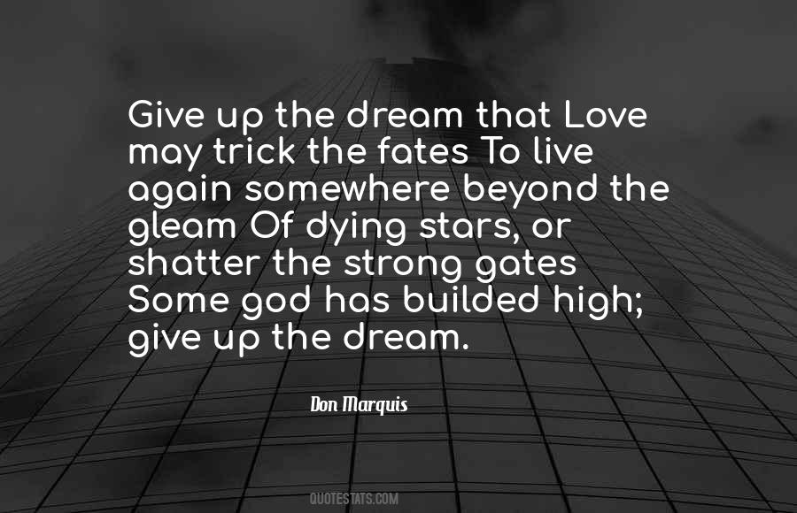 Love Or Dream Quotes #1685854