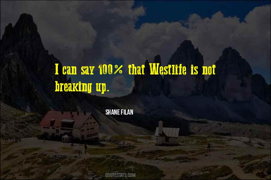 Quotes About Not Breaking #313293