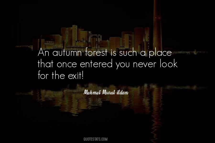 Autumn Forest Quotes #1259283