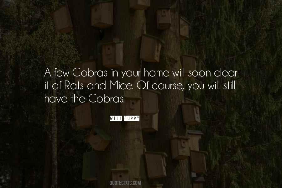 Quotes About Cobras #601689