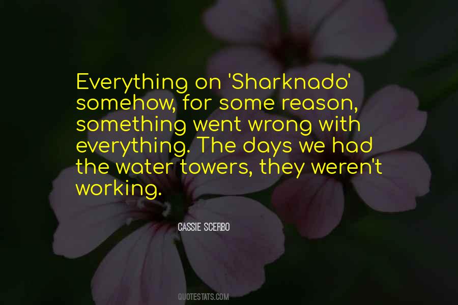 Quotes About When Everything Goes Wrong #73242