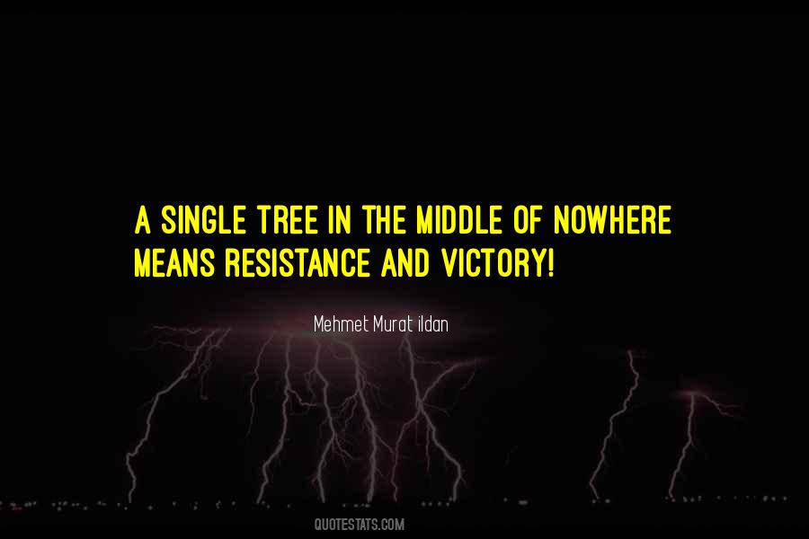 Quotes About A Single Tree #867180