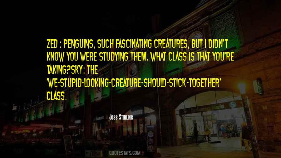 Quotes About Penguins #1036849