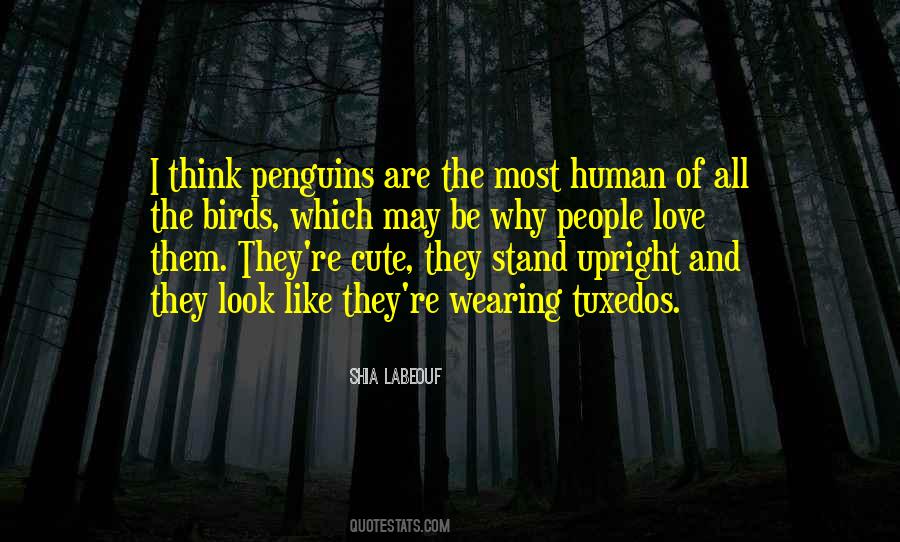 Quotes About Penguins #989487