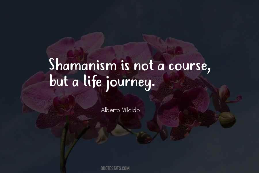 Villoldo Quotes #1109532