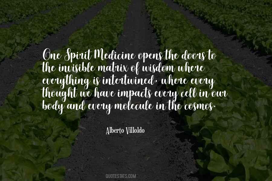 Villoldo Quotes #221364