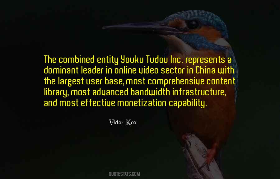 Quotes About Monetization #1496820