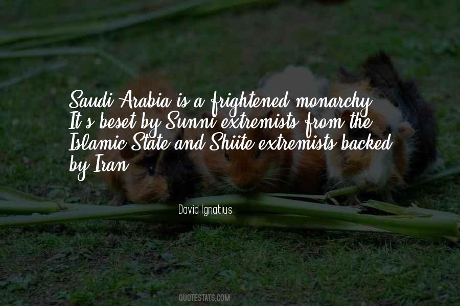 Quotes About Extremists #917854