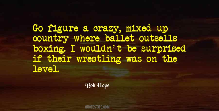 Quotes About Boxing Day #105562