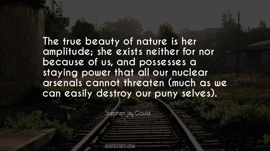 Quotes About True Beauty #592938